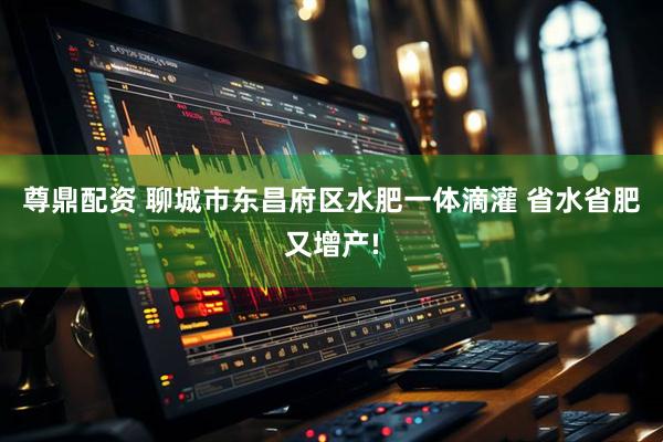 尊鼎配资 聊城市东昌府区水肥一体滴灌 省水省肥又增产!