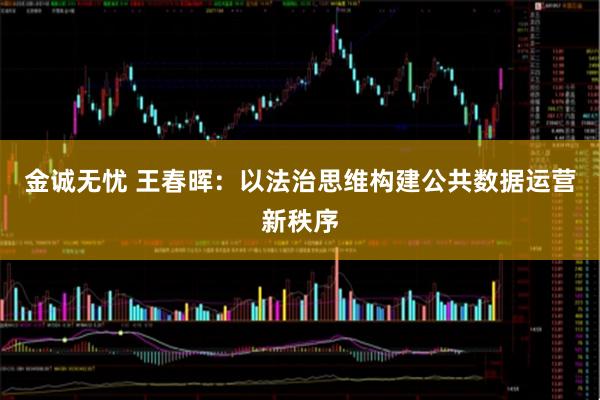 金诚无忧 王春晖：以法治思维构建公共数据运营新秩序
