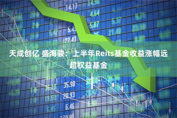 天成创亿 盛海骏:上半年Reits基金收益涨幅远超权益基金