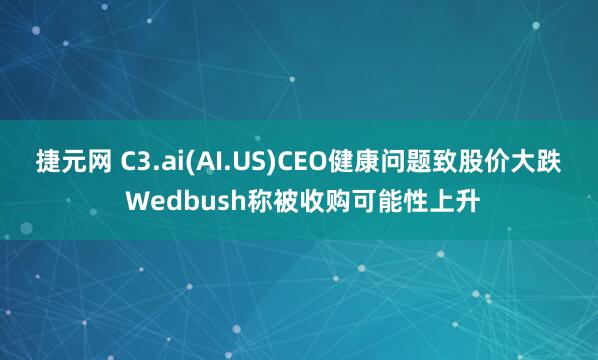 捷元网 C3.ai(AI.US)CEO健康问题致股价大跌 Wedbush称被收购可能性上升
