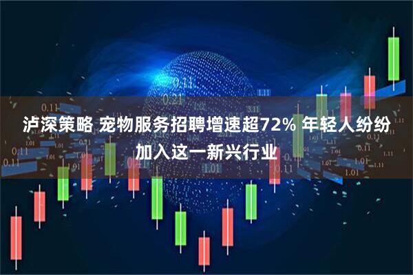 泸深策略 宠物服务招聘增速超72% 年轻人纷纷加入这一新兴行业