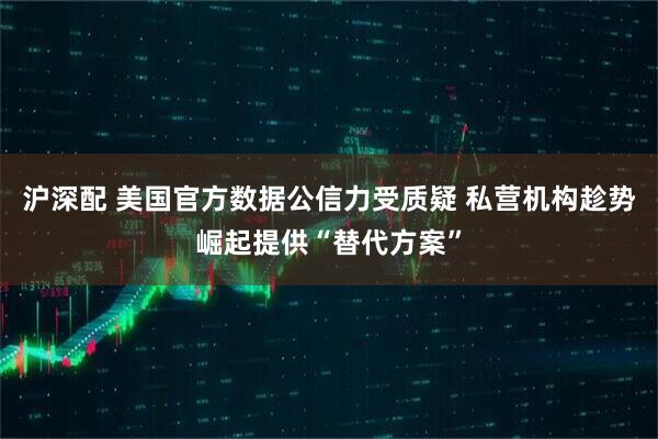 沪深配 美国官方数据公信力受质疑 私营机构趁势崛起提供“替代方案”
