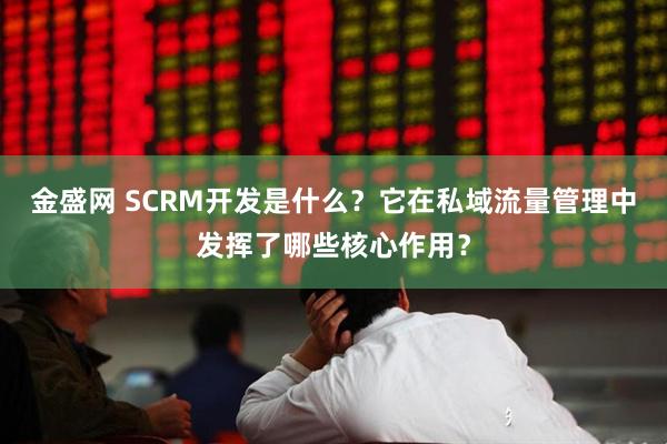 金盛网 SCRM开发是什么？它在私域流量管理中发挥了哪些核心作用？